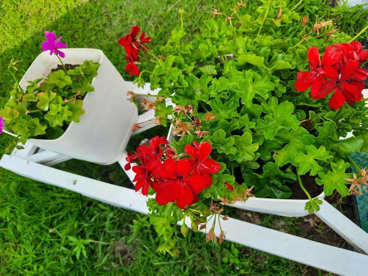 Сasa de vacaciones Pushimi Regis