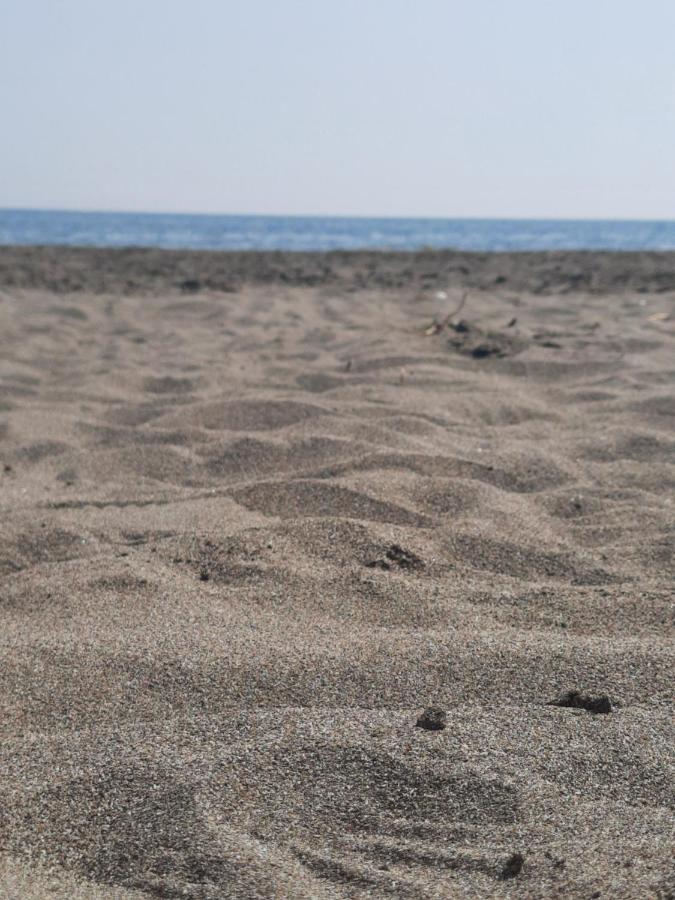 Pushimi Regis * Velipojë
